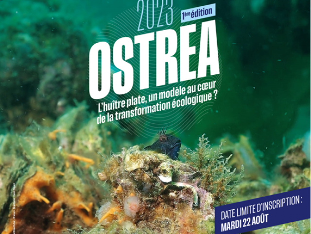 OSTREA - L'huître plate, un modèle au coeur de la transformation écologique ?