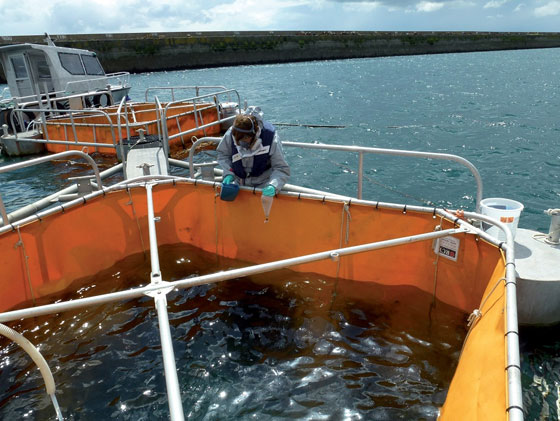 Maîtrise des risques chimiques en mer” : inscriptions ouvertes pour la 9e Rencontre Immersion