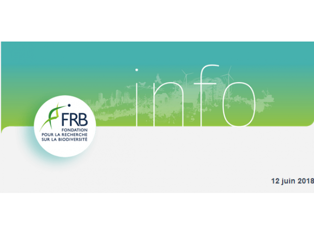The FRB celebrates its 10th anniversary and launches its first prize, The deadline for applications is approaching!